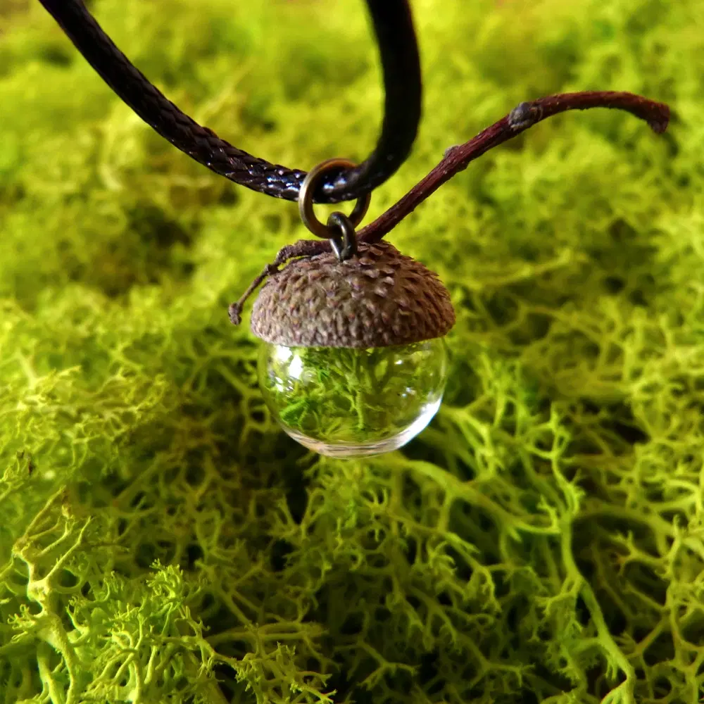 Schwarze Kette mit Anhänger aus einer kleinen Glaskugel mit Moos im Inneren. Die Kugel wird von einem echten Eichelhütchen bedeckt.